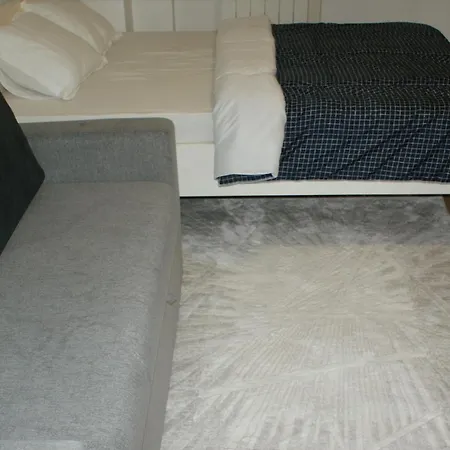 Aishin Residence Paris Centrale Apartment